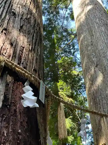 丹生川上神社（中社）(奈良県)