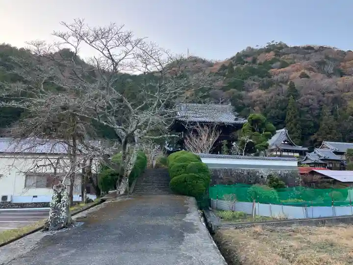 金剛城寺(兵庫県)