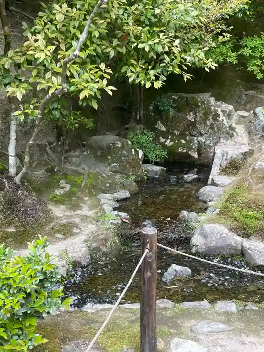 慈照寺(慈照禅寺・銀閣寺)(京都府)