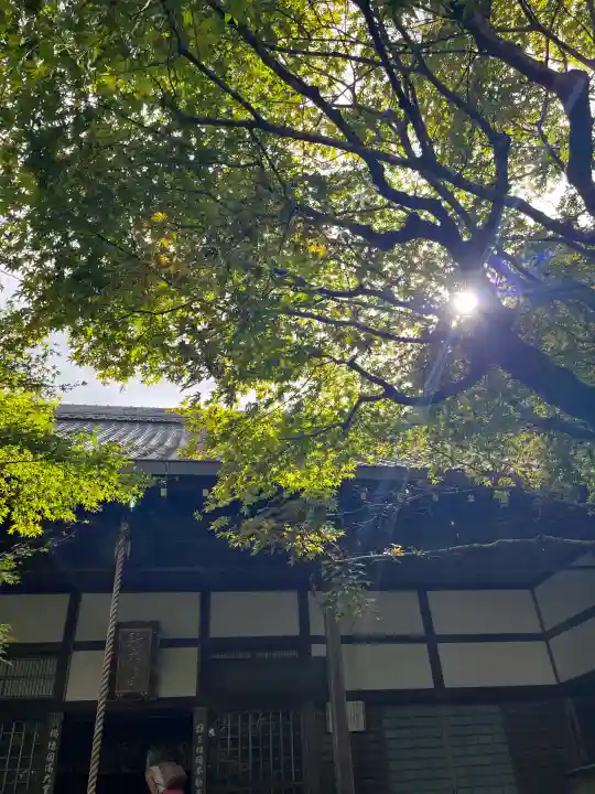 南禅寺の{uncategorized: "未分類", other: "その他", undefined: "問題あり", building: "その他建物", grave: "お墓", sacred_gate: "鳥居", guardian: "狛犬", statue: "像", buddha: "仏像", history: "歴史", nature: "自然", garden: "庭園", animal: "動物", pagoda: "塔", temizu: "手水舎", mountain_gate: "山門・神門", sanctuary: "本殿・本堂", subordinate: "末社・摂社", art: "芸術", scenery: "景色", jizo: "地蔵", ema: "絵馬", goshuin: "御朱印", omikuji: "おみくじ", items: "授与品その他", amulet: "お守り", goshuincho: "御朱印帳", eats: "食事", festival: "お祭り", votive_dance: "神楽", shichigosan: "七五三参", wedding: "結婚式", experience: "体験その他", initially: "初詣", around: "周辺", anti_infection: "感染症対策"}