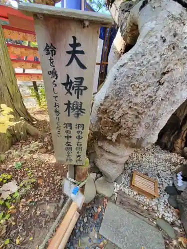 生島足島神社の自然