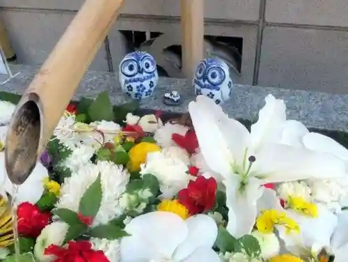 【閉業】小石川大神宮(東京都)