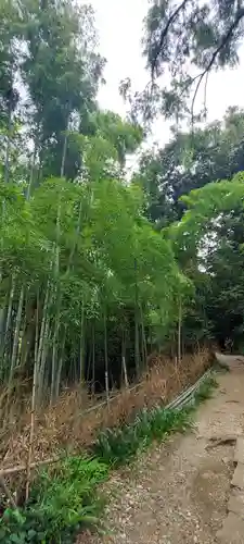 伏見神宝神社(京都府)
