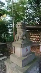 立川熊野神社の狛犬