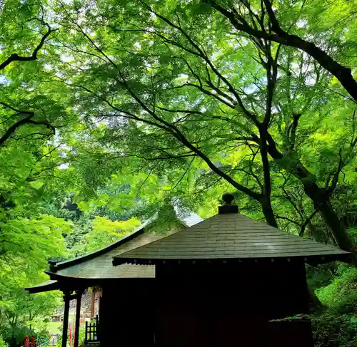 普門寺(切り絵御朱印発祥の寺)(愛知県)