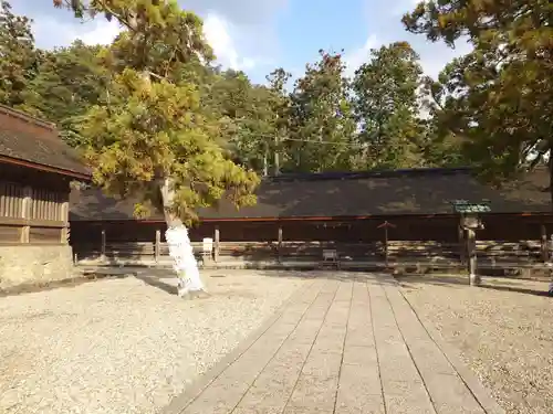 出雲大社(島根県)