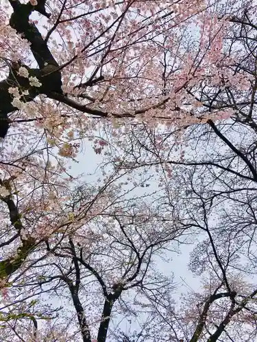 東光寺の自然