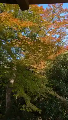 法金剛院(京都府)