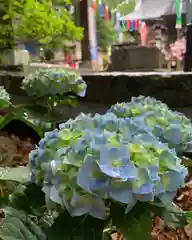 滑川神社 - 仕事と子どもの守り神の自然