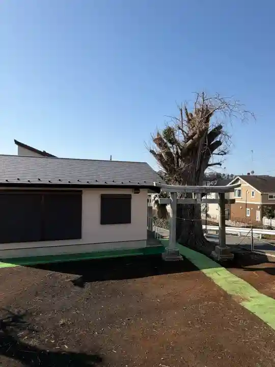 杉山神社の{uncategorized: "未分類", other: "その他", undefined: "問題あり", building: "その他建物", grave: "お墓", sacred_gate: "鳥居", guardian: "狛犬", statue: "像", buddha: "仏像", history: "歴史", nature: "自然", garden: "庭園", animal: "動物", pagoda: "塔", temizu: "手水舎", mountain_gate: "山門・神門", sanctuary: "本殿・本堂", subordinate: "末社・摂社", art: "芸術", scenery: "景色", jizo: "地蔵", ema: "絵馬", goshuin: "御朱印", omikuji: "おみくじ", items: "授与品その他", amulet: "お守り", goshuincho: "御朱印帳", eats: "食事", festival: "お祭り", votive_dance: "神楽", shichigosan: "七五三参", wedding: "結婚式", experience: "体験その他", initially: "初詣", around: "周辺", anti_infection: "感染症対策"}
