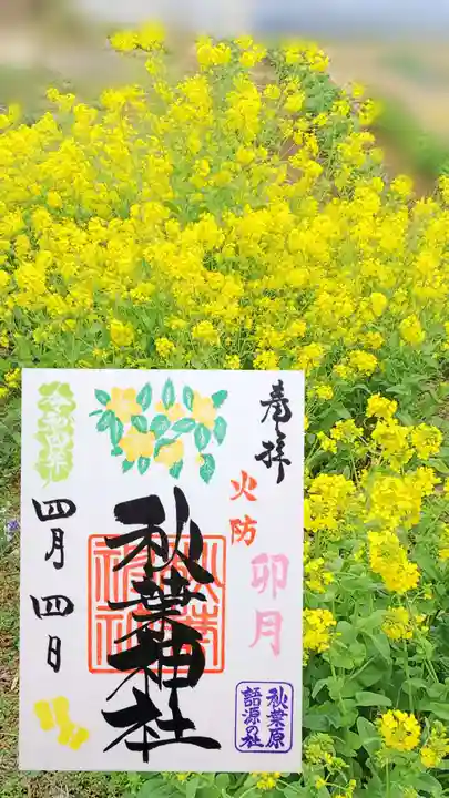 秋葉神社の御朱印