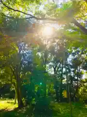 楯縫神社の自然