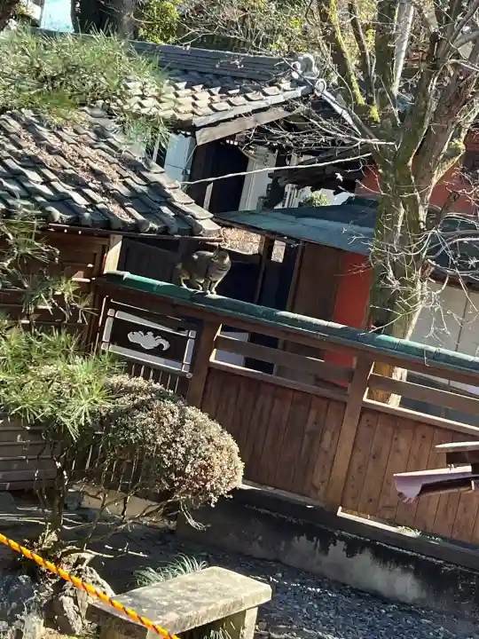 龍泉寺(愛知県)