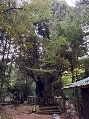 浄蓮庵(徳島県)