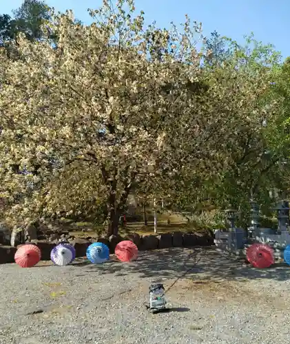 萬松山大雄寺(宮城県)