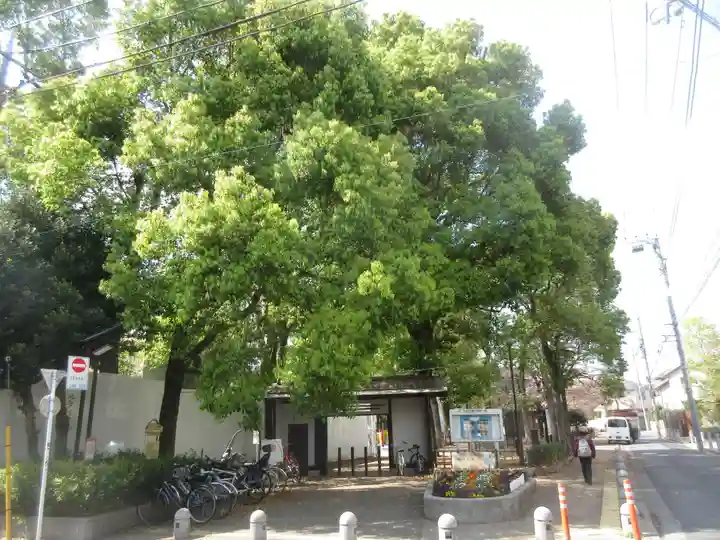天沼八幡神社(東京都)