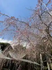 常陸第三宮　吉田神社の自然