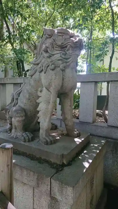 渋谷氷川神社の狛犬