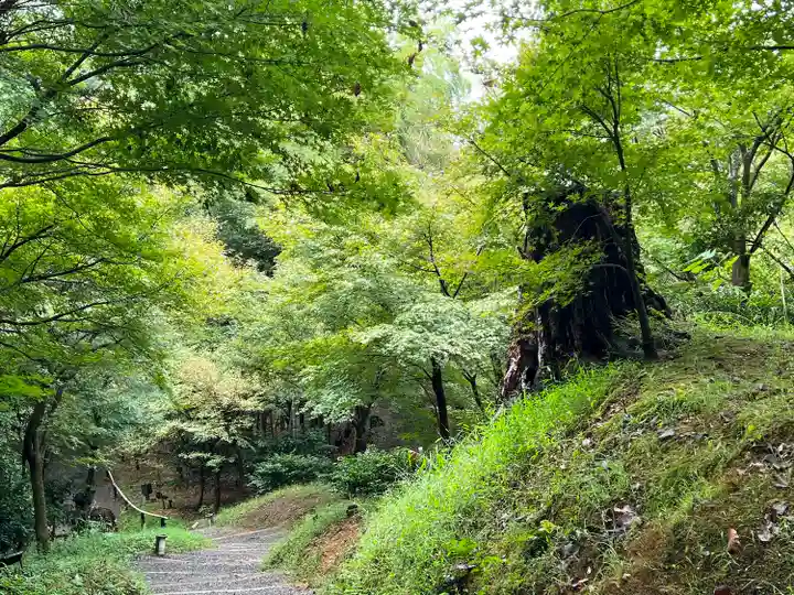 高台寺(高台寿聖禅寺・高臺寺)(京都府)