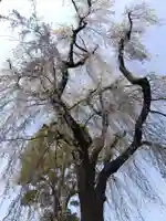 三明寺(愛知県)