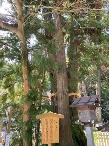 大神神社(奈良県)