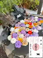 駒込妙義神社(東京都)