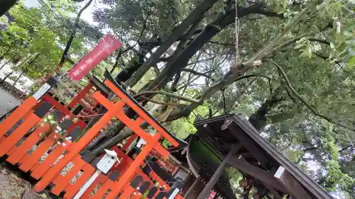 賀茂御祖神社（下鴨神社）の{uncategorized: "未分類", other: "その他", undefined: "問題あり", building: "その他建物", grave: "お墓", sacred_gate: "鳥居", guardian: "狛犬", statue: "像", buddha: "仏像", history: "歴史", nature: "自然", garden: "庭園", animal: "動物", pagoda: "塔", temizu: "手水舎", mountain_gate: "山門・神門", sanctuary: "本殿・本堂", subordinate: "末社・摂社", art: "芸術", scenery: "景色", jizo: "地蔵", ema: "絵馬", goshuin: "御朱印", omikuji: "おみくじ", items: "授与品その他", amulet: "お守り", goshuincho: "御朱印帳", eats: "食事", festival: "お祭り", votive_dance: "神楽", shichigosan: "七五三参", wedding: "結婚式", experience: "体験その他", initially: "初詣", around: "周辺", anti_infection: "感染症対策"}