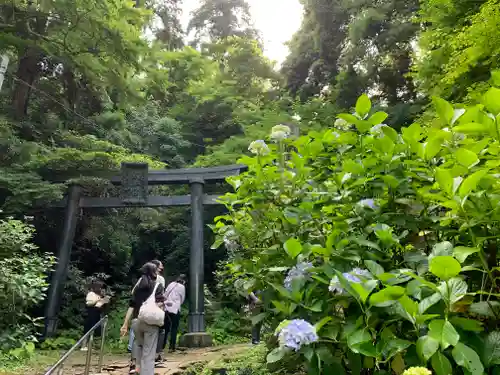 太平山神社の鳥居