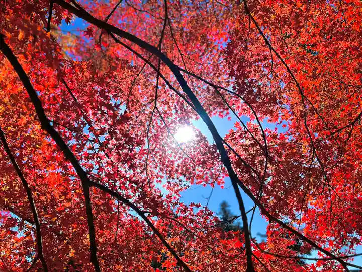 眞田神社(長野県)