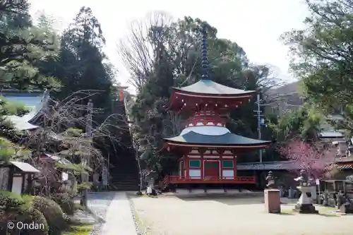 慈尊院(和歌山県)