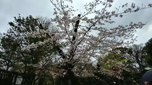 上野東照宮(東京都)