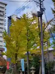 阿邪訶根神社(福島県)