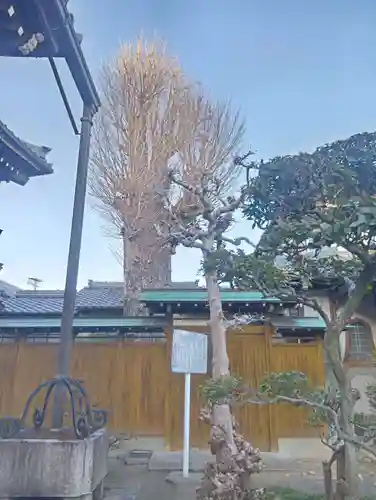 盛泉寺(岐阜県)