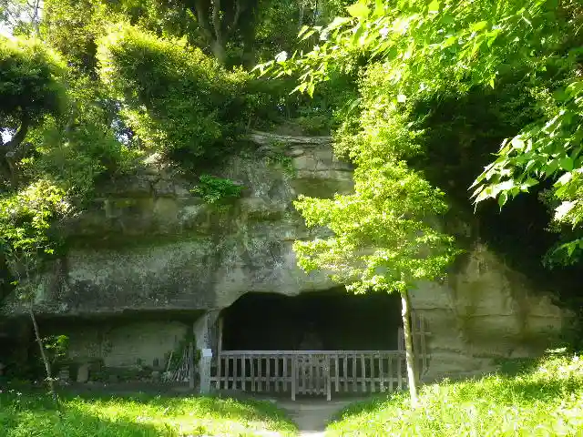 浄光明寺の自然