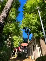 石川神社(東京都)