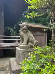 冨塚八幡宮の狛犬