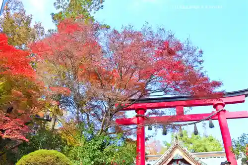 高尾山薬王院(東京都)