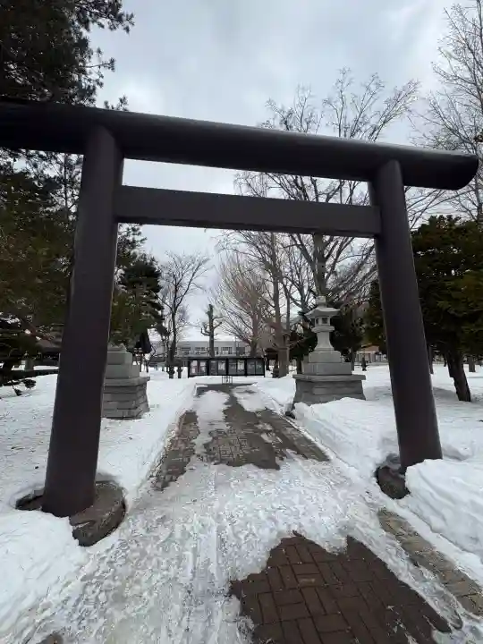 江南神社の{uncategorized: "未分類", other: "その他", undefined: "問題あり", building: "その他建物", grave: "お墓", sacred_gate: "鳥居", guardian: "狛犬", statue: "像", buddha: "仏像", history: "歴史", nature: "自然", garden: "庭園", animal: "動物", pagoda: "塔", temizu: "手水舎", mountain_gate: "山門・神門", sanctuary: "本殿・本堂", subordinate: "末社・摂社", art: "芸術", scenery: "景色", jizo: "地蔵", ema: "絵馬", goshuin: "御朱印", omikuji: "おみくじ", items: "授与品その他", amulet: "お守り", goshuincho: "御朱印帳", eats: "食事", festival: "お祭り", votive_dance: "神楽", shichigosan: "七五三参", wedding: "結婚式", experience: "体験その他", initially: "初詣", around: "周辺", anti_infection: "感染症対策"}