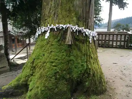 須我神社(島根県)