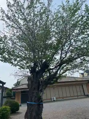 長良神社(群馬県)