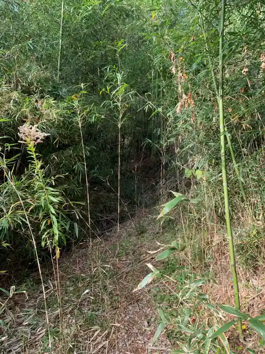 妙見神社(千葉県)