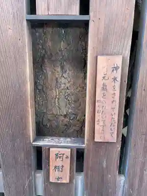 平等寺（因幡堂）(京都府)