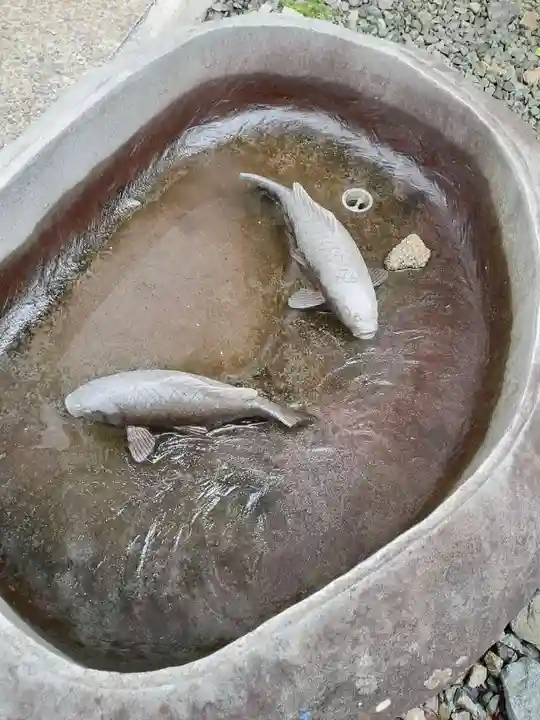 三井寺(秋田県)