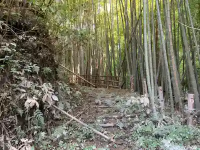 松尾神社の自然
