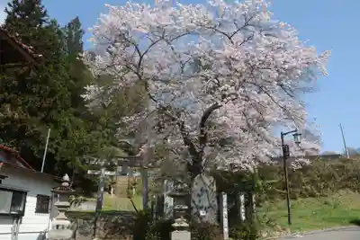 菅布禰神社の鳥居