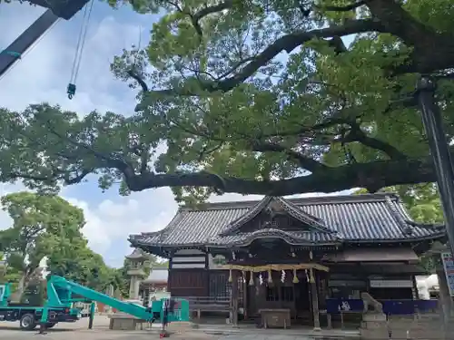 百舌鳥八幡宮(大阪府)