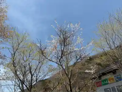劔神社(徳島県)