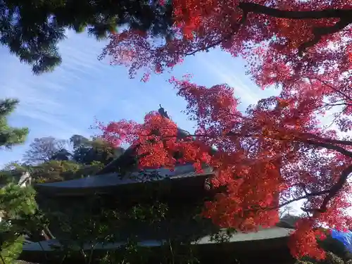 建長寺の景色