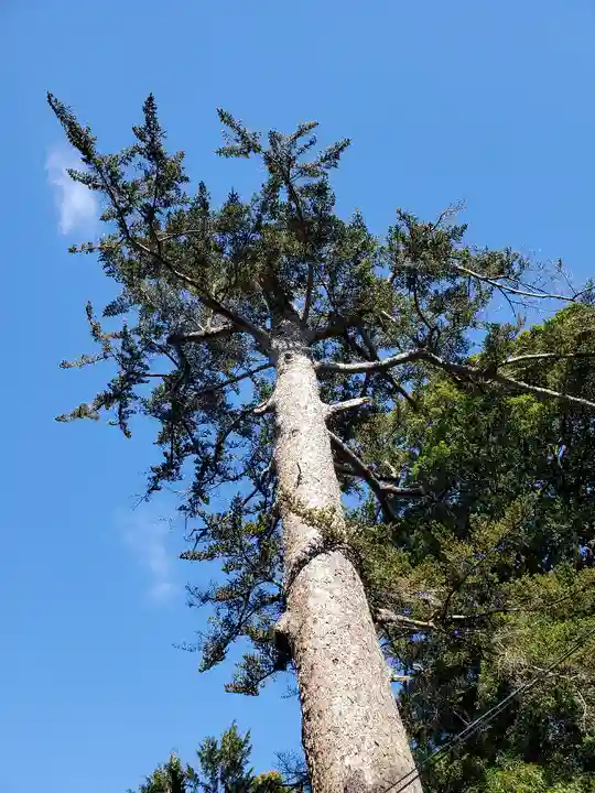 滑川神社 - 仕事と子どもの守り神の自然