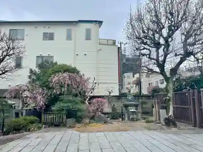 常泉寺(東京都)